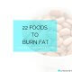 22 FOODS TO BURN FAT