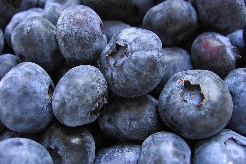 fat burning foods blueberries