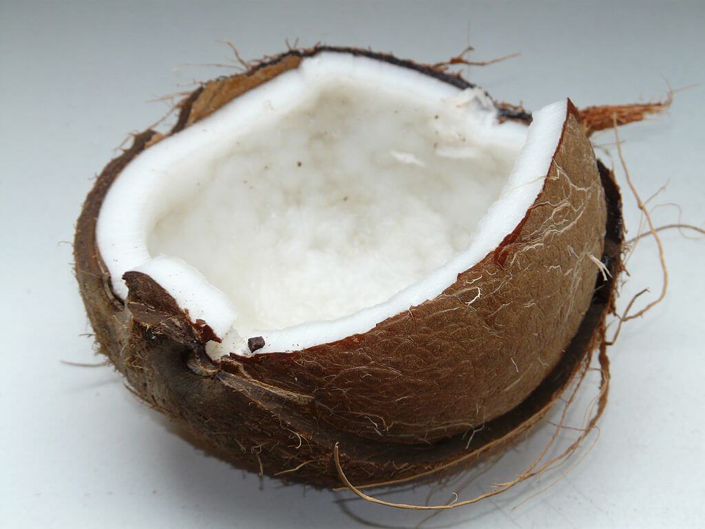 fat burning foods coconut