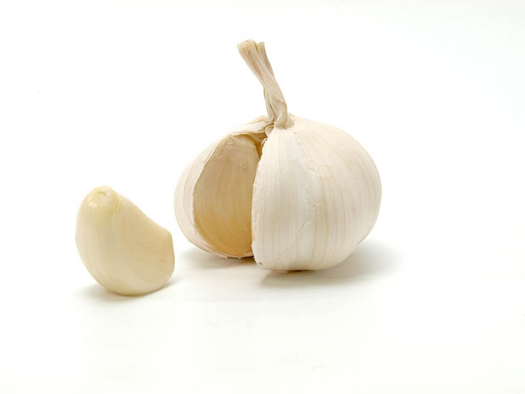 fat burning foods garlic