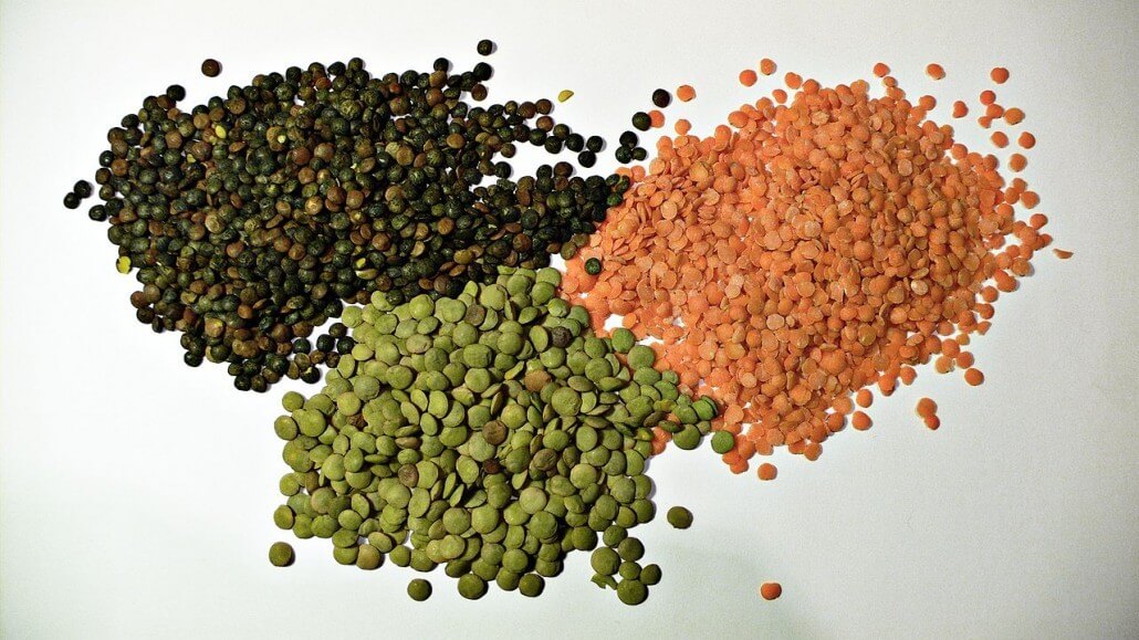 fat burning foods lentils