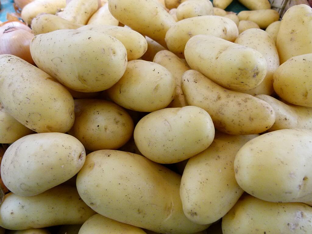 fat burning foods potatoes