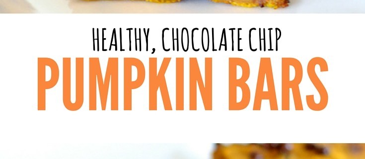 healthy chocolate chip pumpkin bars